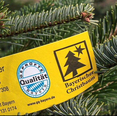 Bayerische Premium Nordmanntanne L - 1,70m bis 2m